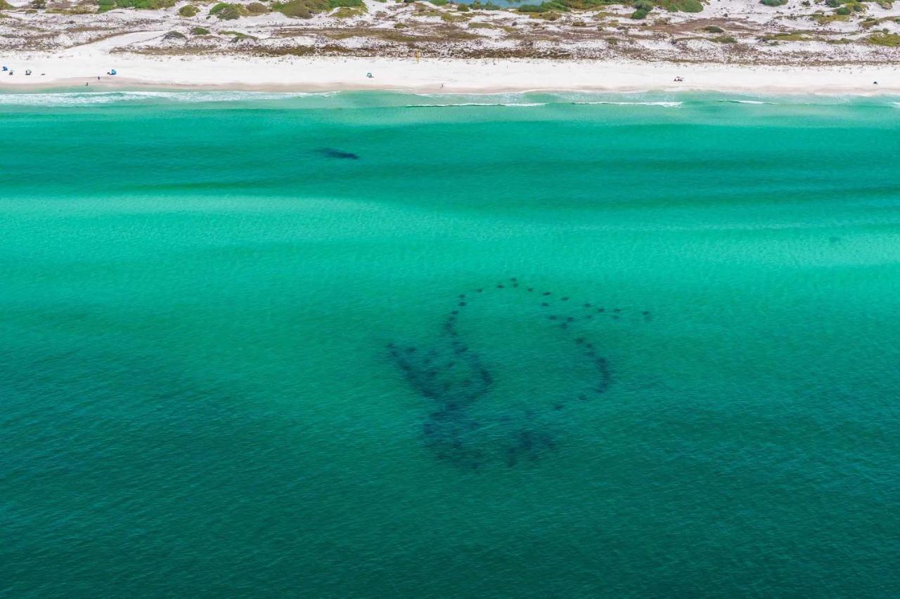 Surfin' Turtle Villa Santa Rosa Beach Exterior foto